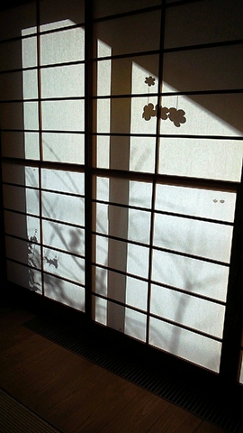 窓に映る影